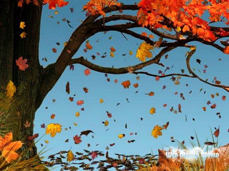 énergie des arbres d'automne